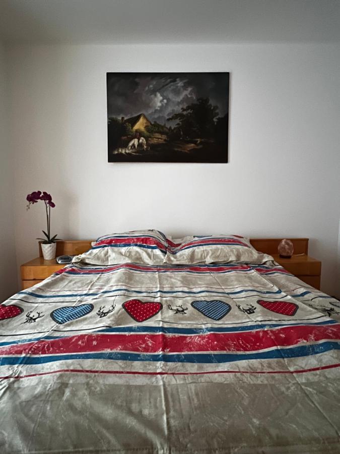 Noreea Central Apartment تيميشورا المظهر الخارجي الصورة