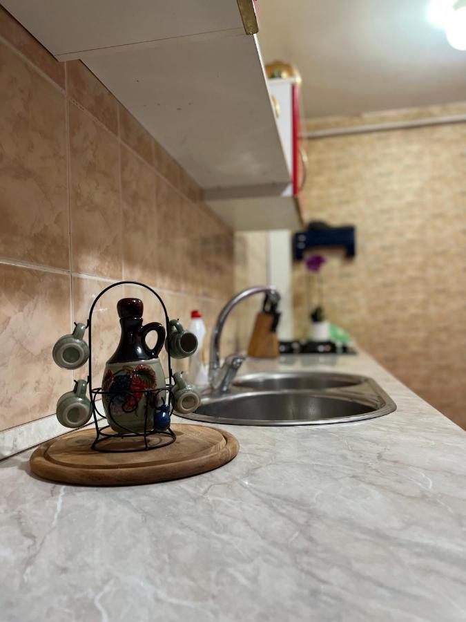 Noreea Central Apartment تيميشورا المظهر الخارجي الصورة